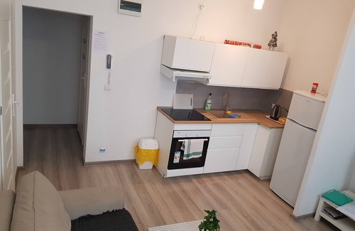 Bydgoszcz Apartment | Souvenirappart au Coeur de Bydgoszcz 11B