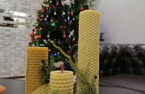 Levokumskoe Hotel | SPA-Otel «Елена»