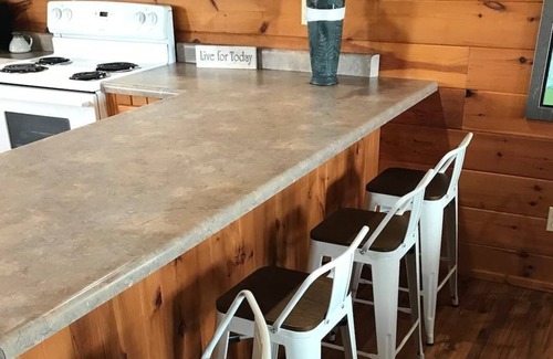 Dora Cabin | Spacious 1200sf cabin (3) in Ozark county near the river. Pets allowed.