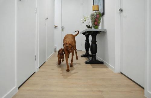 Gold Coast House | Spacious 4BR Townhouse in Prime Location