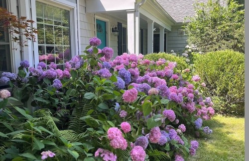Lakeville House | Spacious 5-bedroom house with Pool on 2 lovely acres