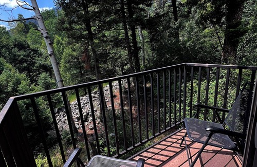 Taos Ski Valley Condo | Spacious 800 sqf 2-bedroom condo 1.5 miles away from lift 1 at Taos Ski Valley!