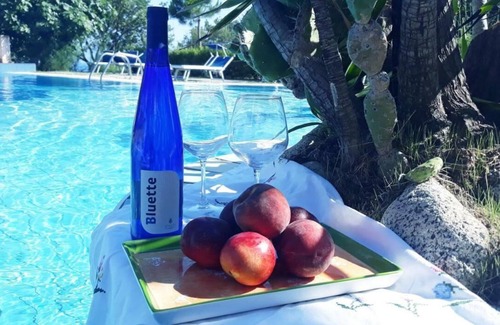 Ricadi Apartment | Spacious 9-bedroom apartment with WiFi, AC in enchanting Ricadi