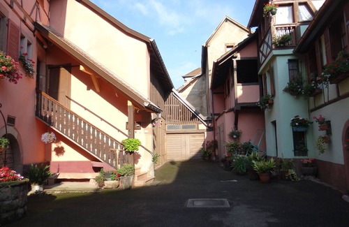 Ribeauville Apartment | Spacious air-conditioned gîte for 2 to 4 people