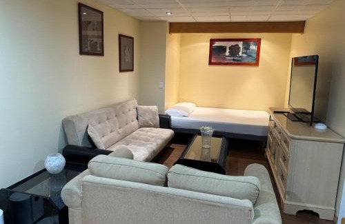 Chestermere Apartment | Spacious and beautiful lower Apartment