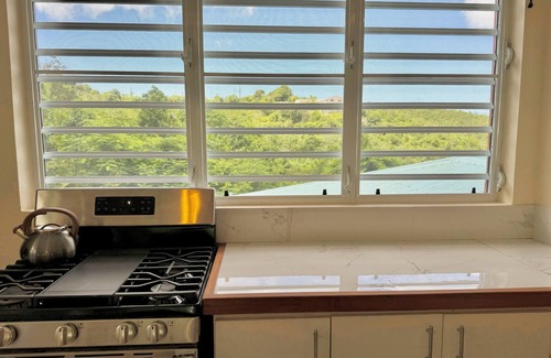 Estate Caneel Bay Apartment | spacious and cozy 1 bedroom with garden views and AC-1 mile from Cruz Bay