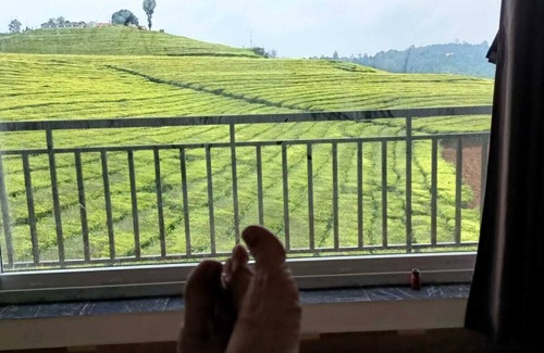 West Mere House | Spacious and serene space with Tea Estate view from every room.n