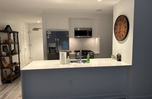 Navy Yard Apartment | Spacious apartment in the heart of DC, steps to Nationals stadium & Navy Yard