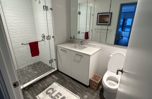 Navy Yard Apartment | Spacious apartment in the heart of DC, steps to Nationals stadium & Navy Yard