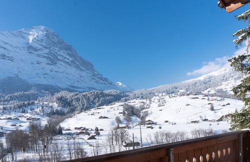 Grindelwald Apartment | Spacious Apartment With Outstanding Views Direct Access Top of Europe