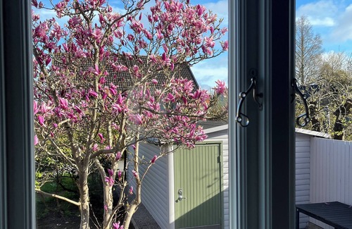 Borrby House | Spacious, bright and renovated gem close to the beach in Borrby