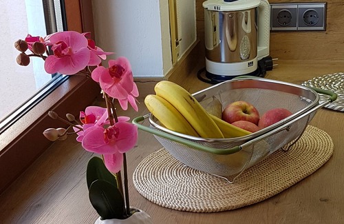 Haunstetten-West Apartment | Spacious, bright apartment with balcony in the south of Augsburg