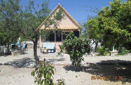 Messini House | Spacious chalet on a plot of 4000m2 with fruit trees near the beach in Messinia