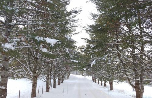 Montpelier Apartment | Spacious country retreat close to town and nature, Sylvana Farm VT