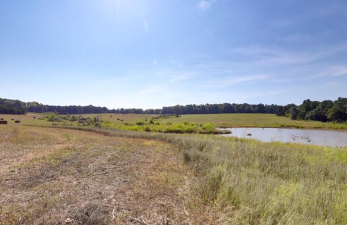 Grubville House | Spacious Franklin County Retreat on 80 Acres!