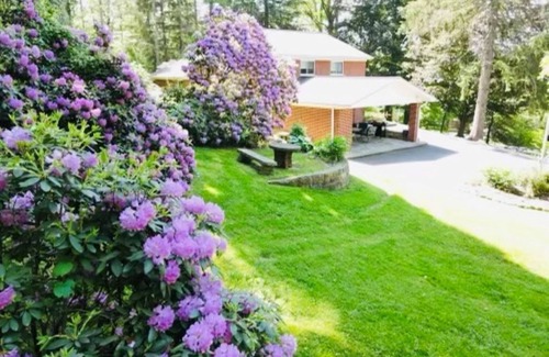 Fayetteville House | Spacious Hillside Oasis in DT Fayetteville ★ NRG