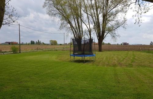 Poperinge House | Spacious Holiday Home with Pond in Poperinge