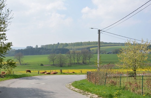 Champlon House | Spacious holiday home in Champlon with garden