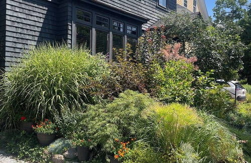 West Cambridge Apartment | Spacious home in Harvard Square with permitted free on street parking