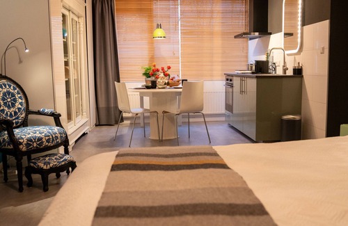 Hoofddorp House | Spacious luxury studio with AC & Netflix near ✈ & AMS