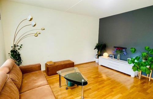 Trondheim Apartment | Spacious Modern Apartment