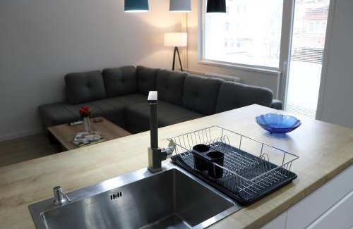 Kisela Voda Apartment | Spacious modern apartment Kisela Voda