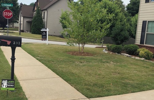 Newnan House | Spacious Newnan Retreat - Minutes from Hospital & Celebrations!