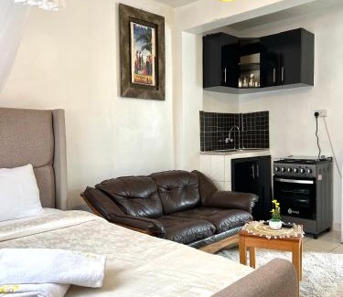 Kisumu Apartment | Spacious studio Apt Milimani