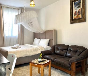 Kisumu Apartment | Spacious studio Apt Milimani