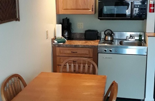 North Woodstock Condo | Spacious studio with a beautiful Pemi river view.