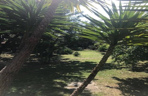 Bompas Villa | Spacious villa with pool, garden, billiards &baby-foot 12/14 pers