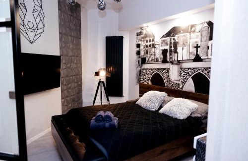 Klodzko Miasto Apartment | Spadzista 1