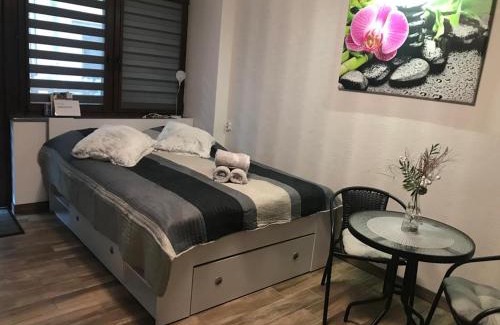 Klodzko Miasto Apartment | Spadzista 3