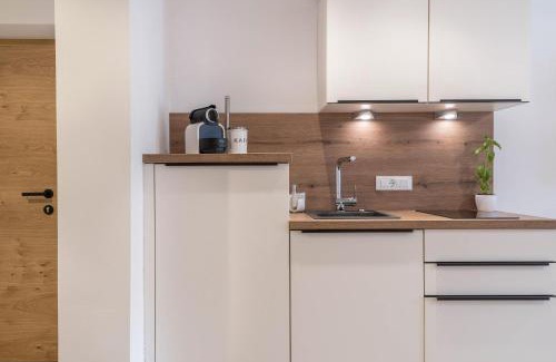 Campo di Trens Apartment | Sparberhof Apt Antonius