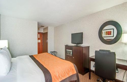 Abingdon Hotel | Spark by Hilton Abingdon I-81 near Fairgrounds