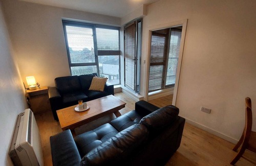 Haroldʼs Cross Condo | Spatious & private 2 bedroom apartment 15 minute walk to all attractions