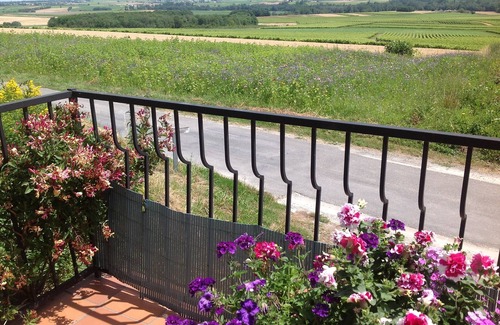 Saint-Fort-sur-Gironde House | Special Offer! Beautiful hill top House with Private Heated Pool, Stunning Views