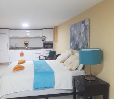 Piscadera Apartment | Spectacular Furnished Studio