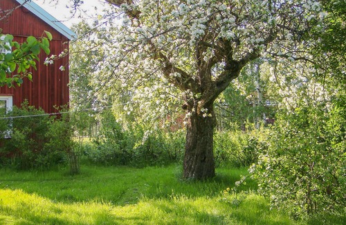 Lingbo House | Spend an unforgettable time in a spacious vacation home close to nature.