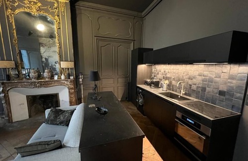 Clermont Ferrand City Centre Apartment | Splendid 2-room apartment 65 m2 17th century town house