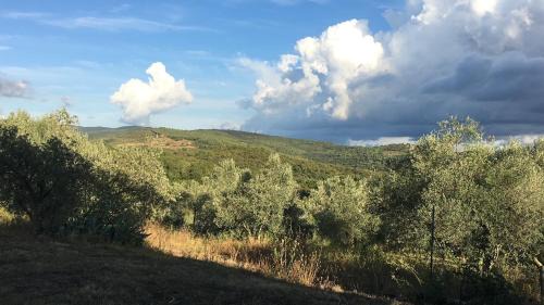 Monterotondo Marittimo Apartment | Sport Bikes and Nature