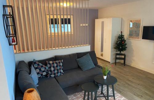 Willigen Apartment | Spring Inn Apartments