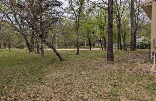 Mammoth Spring Cabin | Spring River Cabin at Saddler Falls with large yard, firepit and swing!