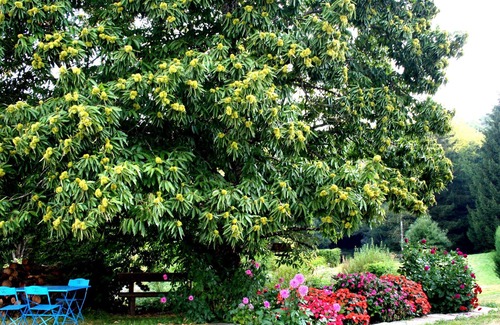 Le Clerjus Bed & Breakfast | Spring Room with Park and Nature Activities
