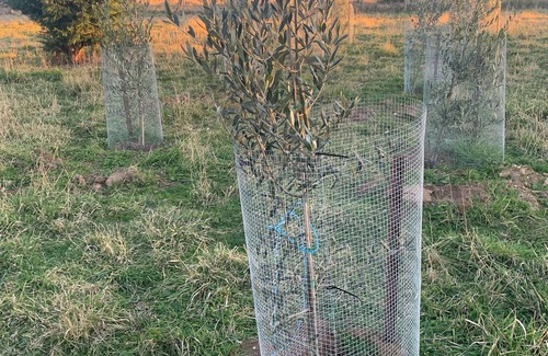 Wisemans Creek Other | Spring Valley Farmhouse, 5 beds, Hot Tub, Pet Friendly