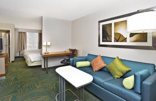 Elmhurst Hotel | Springhill Suites by Marriott Chicago Elmhurst Oakbrook Area