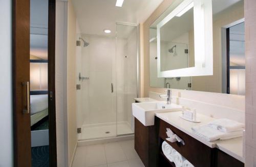 Florida Central Atlantic Coast Hotel | SpringHill Suites by Marriott Orlando at FLAMINGO CROSSINGS Town Center-Western Entrance
