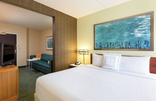 Franklin Park Hotel | SpringHill Suites by Marriott Austin South