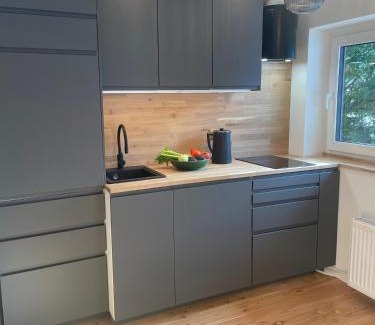 Bad Gastein Apartment | Springhouse
