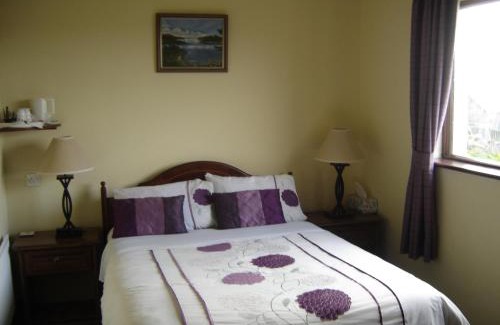 Clarinbridge Bed & Breakfast | Springlawn